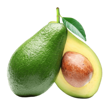 avocado-fruit